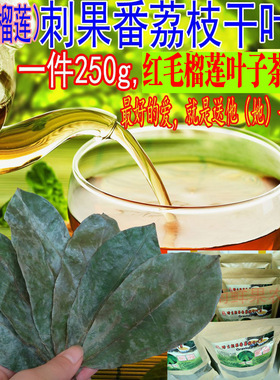 刺果番荔枝干叶子红毛榴莲干叶子茶Graviola叶子半斤装多省包邮