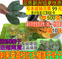 刺果番荔枝干叶子茶红毛榴莲干叶子茶Graviola叶soursop叶1斤包邮
