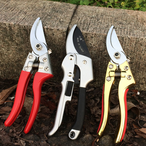 高档修枝剪摘果修枝插花