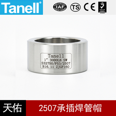 tanell2507高压承插焊管帽