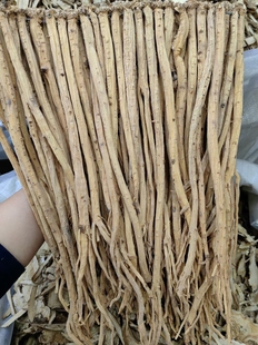 甘肃特级特大条本色无硫党参1公斤新货