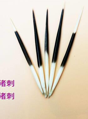 爆款豪猪刺牙签鱼漂泡酒药用冷背中药手工diy浮标刺猬刺尖刺优质