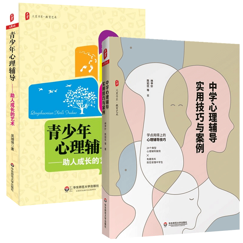 中学心理辅导实用技巧与案例