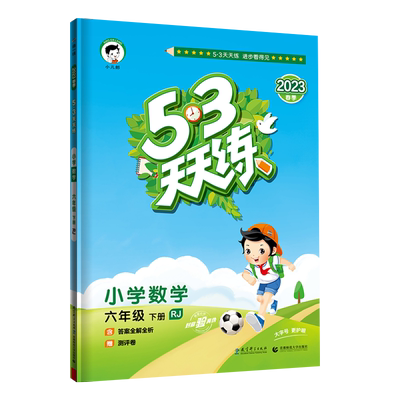 53天天练六年级下册数学人教版