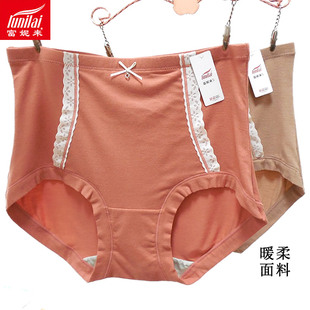 2条 富妮来女内裤莫代尔舒绒轻暖5050包臀5049小平角收腹提臀5051