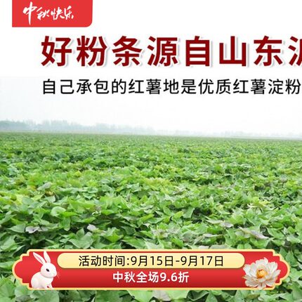 食品山东特产淀粉火锅干货粉条粉丝蕨根粉苕皮红薯粉细粉宽粉