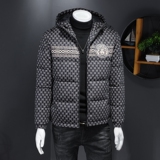 2026冬季新款连帽休闲白鸭绒羽绒服QT212-F7249-P310假模图，男装羽绒服，钱塘2010-1