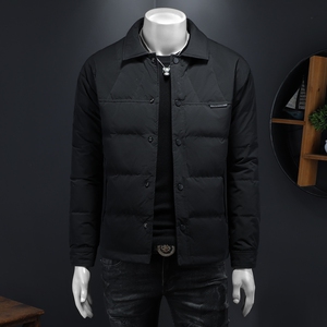 2024冬季新款翻领休闲羽绒服QT212-9908-P220 假模图图片