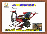 4G80型稻麦割捆机 水稻收割机 打捆机 小麦收割机打捆机
