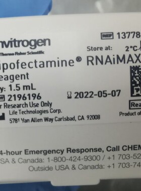 Lipofectamine™ RNAiMAX Transfection Reagent 13778150 转染