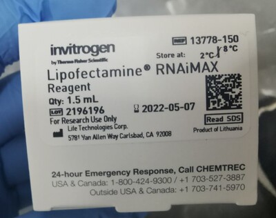 Lipofectamine™ RNAiMAX Transfection Reagent 13778150 转染