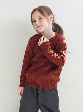 秋冬儿童羊毛针织衫男童女童圆领麻花纯色套头打底衫宝宝毛衣童装