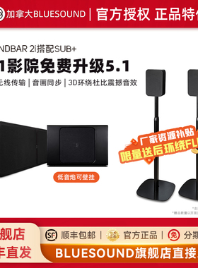 BLUESOUND SOUNDBAR 2i客厅回音壁 3.1/5.1无线家庭影院环绕音箱