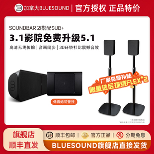BLUESOUND SOUNDBAR 2i客厅回音壁 3.1/5.1无线家庭影院环绕音箱
