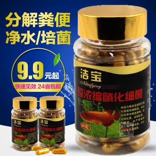 洁宝超浓缩硝化细菌胶囊鱼药养鱼硝化菌水族海水鱼净水消化菌养水