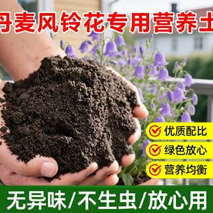 丹麦风铃花专用土料养殖种植酒杯风铃花肥铃铛花苗营养土种植家用