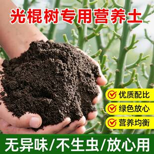 光棍树专用土料养殖花盆栽多肉植物专用土养护营养土喷剂种植家用