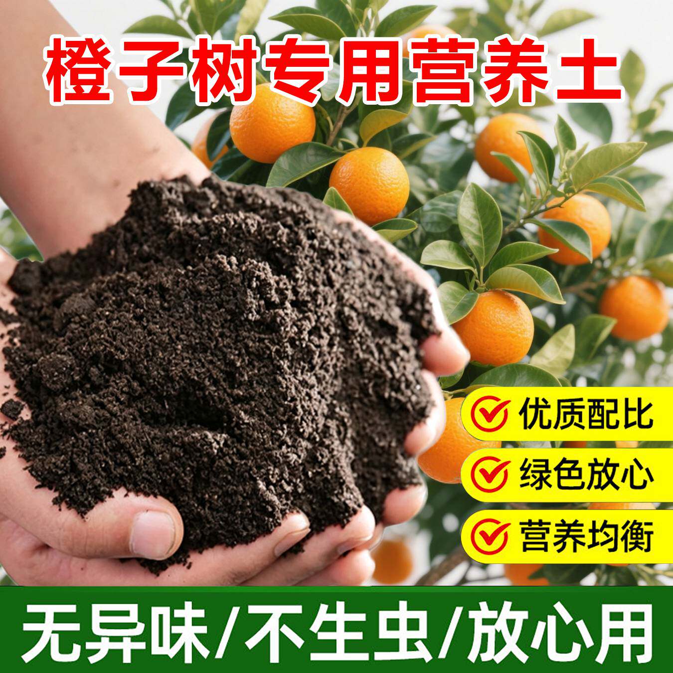 橙子树专用土料橙子果树营养土开单一介质/营养土