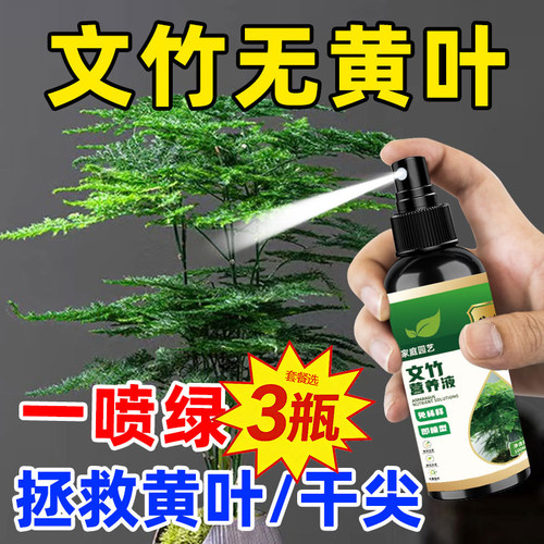 文竹专用营养液免稀释促芽促生长改善根部叶尖发黄干枯落叶促绿