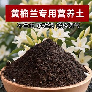 黄桷兰专用土料大树苗白兰花肥黄桷兰花盆栽专用土营养土种植家用