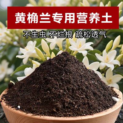 黄桷兰专用土料养殖黄桷兰花大树苗白兰花肥专用土营养土种植家用