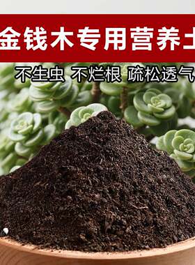 金钱木专用土料盆栽多肉植物营养土种植肥有机土有机土花卉土家用