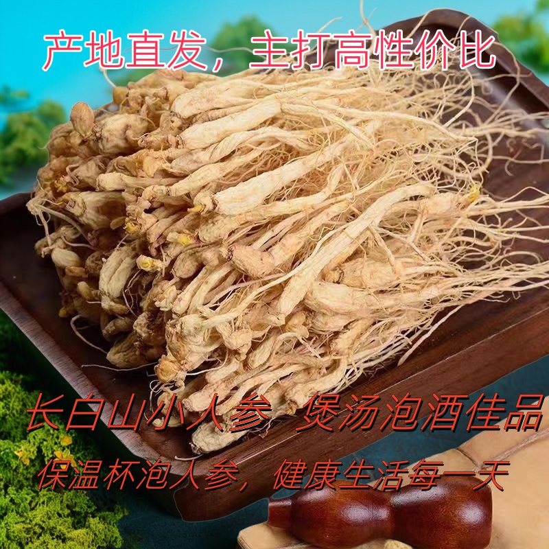 小人参单支2g干参泡酒料煲汤料