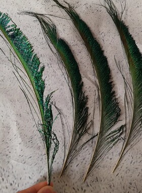 DIY工艺孔雀羽毛屏风专用 天然孔雀毛孔雀翎尾 花瓶装饰 25-30cm