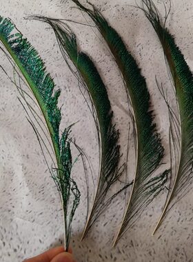 diy工艺孔雀羽毛屏风专用天然