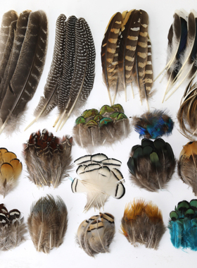 小羽毛幼儿园手工饰品配件野鸡毛 羽毛diy材料鸟羽毛装饰标本制作