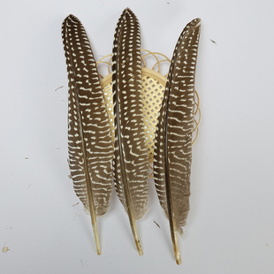 珍珠刀翎真羽毛鸡毛头饰装饰品diy材料手工配件辅料摆件工艺品