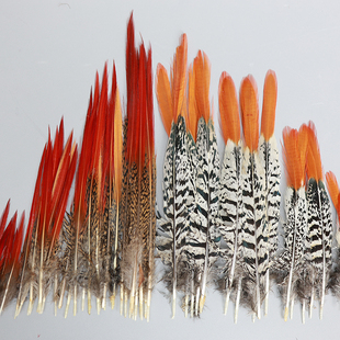 原色天然野鸡毛 锦鸡红箭铜鸡红尖DIY手工饰品材料逗猫棒羽毛配件