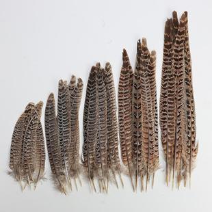 包邮天然母山鸡尾野鸡毛翎子羽毛diy饰品配件胸花装饰逗猫道具