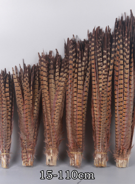 天然野鸡毛地鸡毛逗猫羽毛棒山鸡羽毛京戏翎子山鸡尾25-100cm