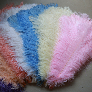 彩色鸵鸟毛55-60cm婚庆摆件羽毛花束装饰配件DIY花艺材料鸵鸟羽毛