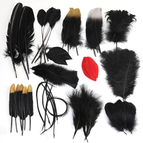 饰品配件黑色羽毛幼儿园美术材料