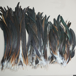 原色鸡尾毛长25-45cm公鸡尾羽毛舞台装饰帽子服装配饰diy羽毛配件