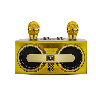 无线音响蓝牙家用客厅音箱商用背景音乐K歌公共广播双喇叭YS206