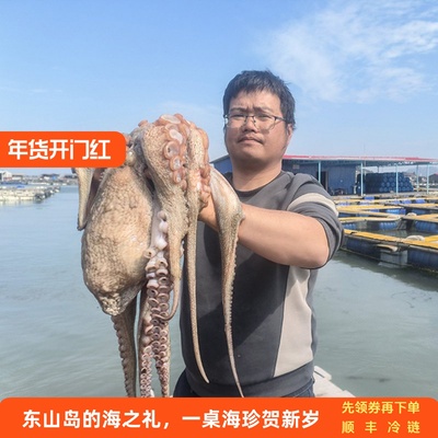 东山岛活冻大岩章大八爪鱼岩章