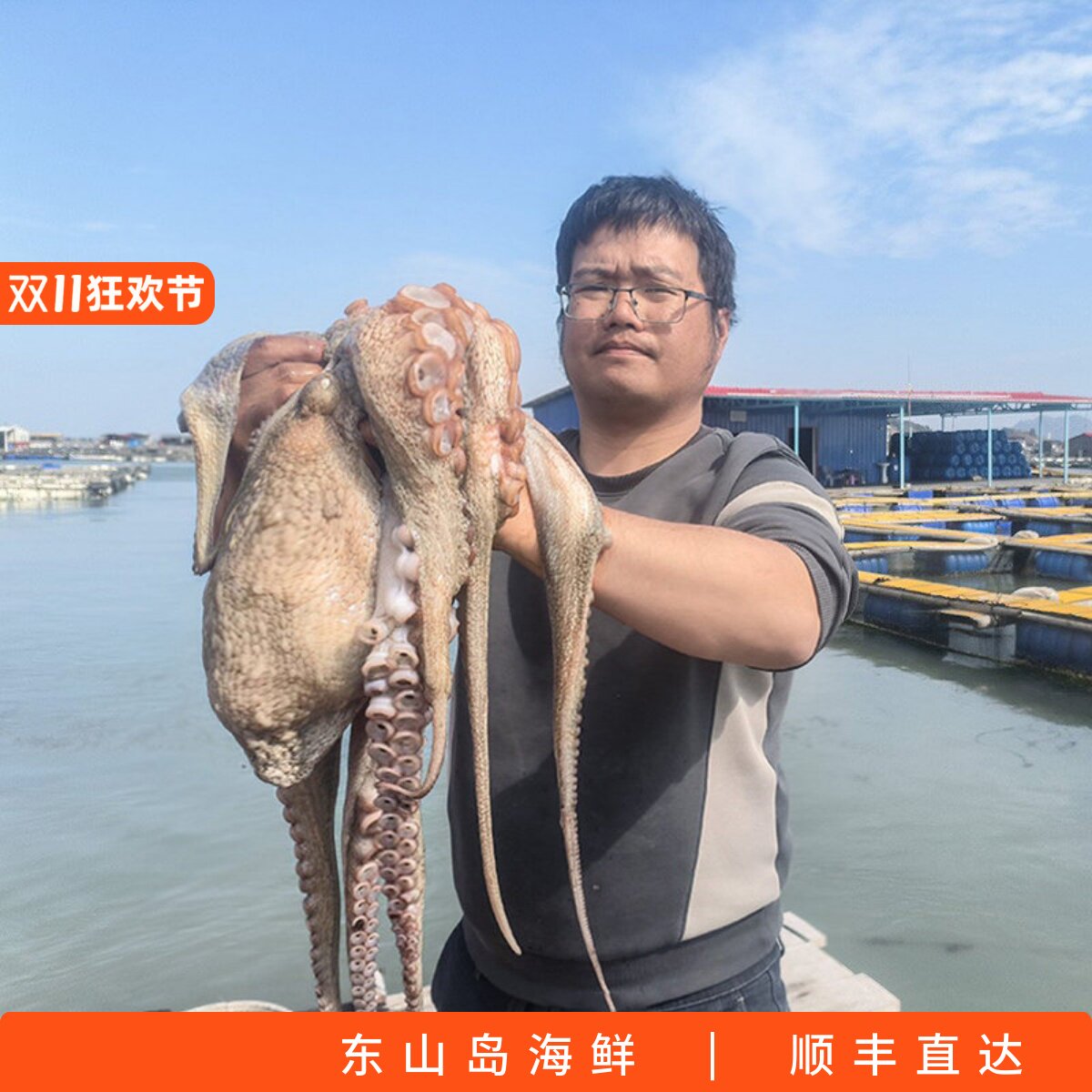 刺身巨型大章鱼东山岛活冻大岩章大八爪鱼真蛸真章顺丰冷链