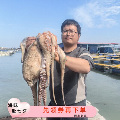 东山岛活冻大岩章大八爪鱼岩章