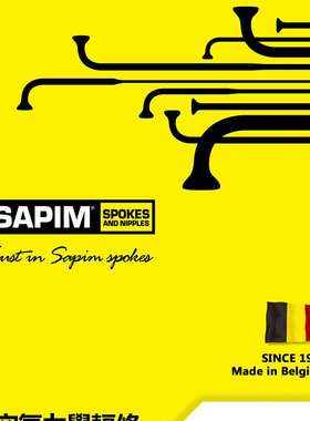 比利时Sapim Laser三抽锻造变径辐条自行车钢丝星芒辐条星芒钢丝