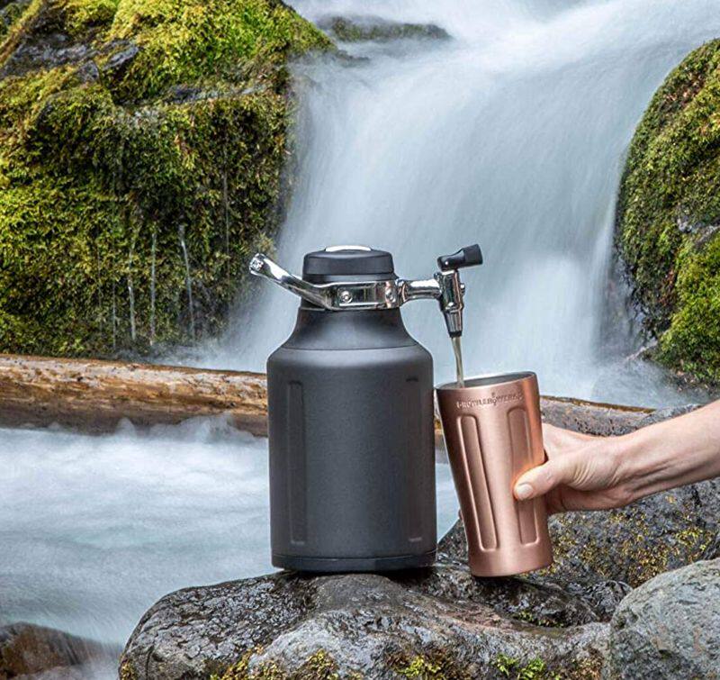 GrowlerWerksuKegGo