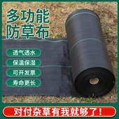 防草布除草布耐用地布遮草布盖草布除草地布隔草布果园树防长草布