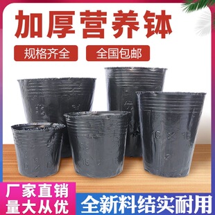 营养杯育苗杯营养钵育苗盆塑料加厚一次性农用营养袋育苗袋花盆大