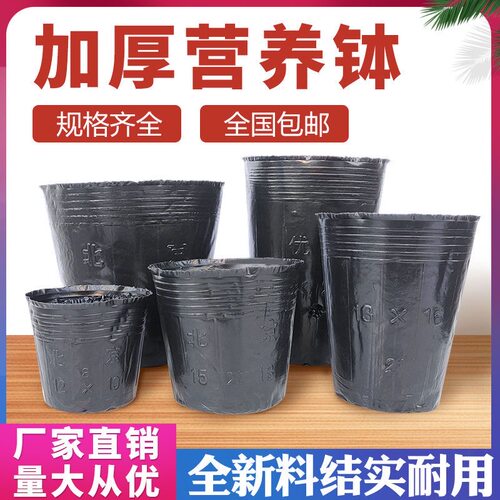 营养杯育苗杯营养钵育苗盆塑料加厚一次性农用营养袋育苗袋花盆大