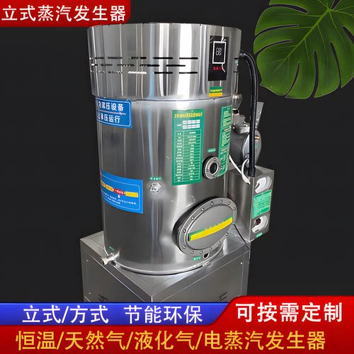 蒸汽发生器全自动天然气液化气电加热蒸馒头包子蒸箱锅炉蒸汽机