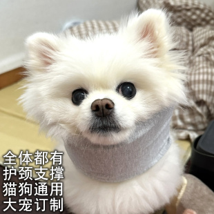 宠物护颈狗脖圈防舔头套术后透气狗狗脖子受伤夹板固定伊丽莎白圈