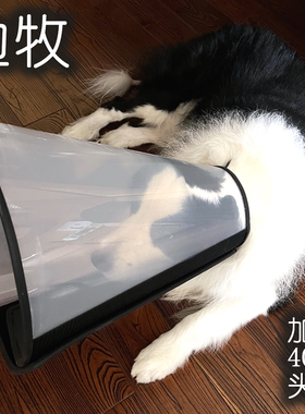 定制加大深40cm头套边境牧羊犬伊丽莎白圈宠物边境柯利犬陨石边牧