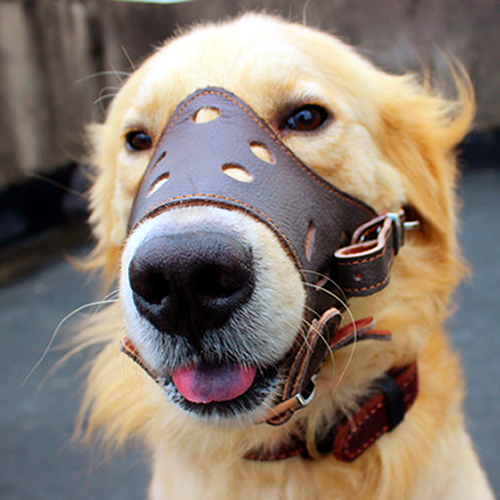 包邮狗嘴套狗口罩防咬防叫小中大型犬宠物止吠器泰迪皮嘴套可调节